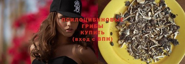 spice Алзамай