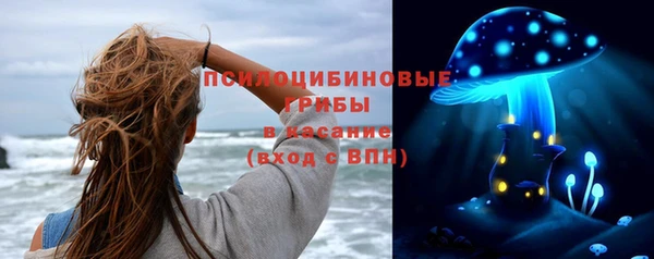 spice Алзамай