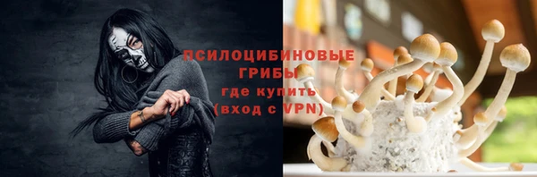 spice Алексин