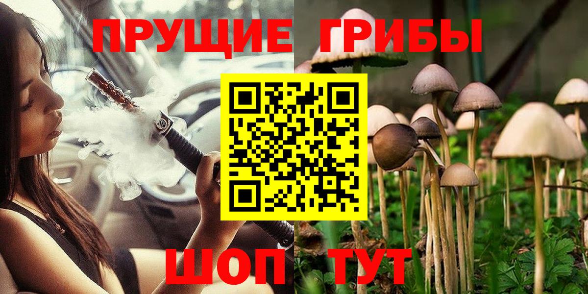 Псилоцибиновые грибы Psilocybe  Псилоцибиновые грибы Psilocybine cubensis  Вход с VPN  Краснознаменск 