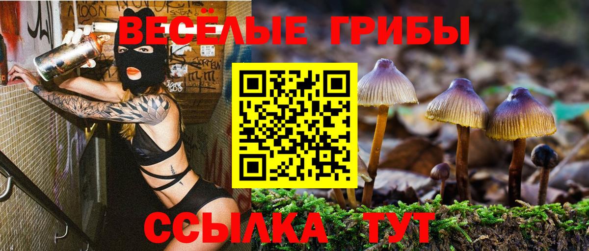 Псилоцибиновые грибы Cubensis Краснознаменск
